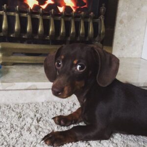 Margo